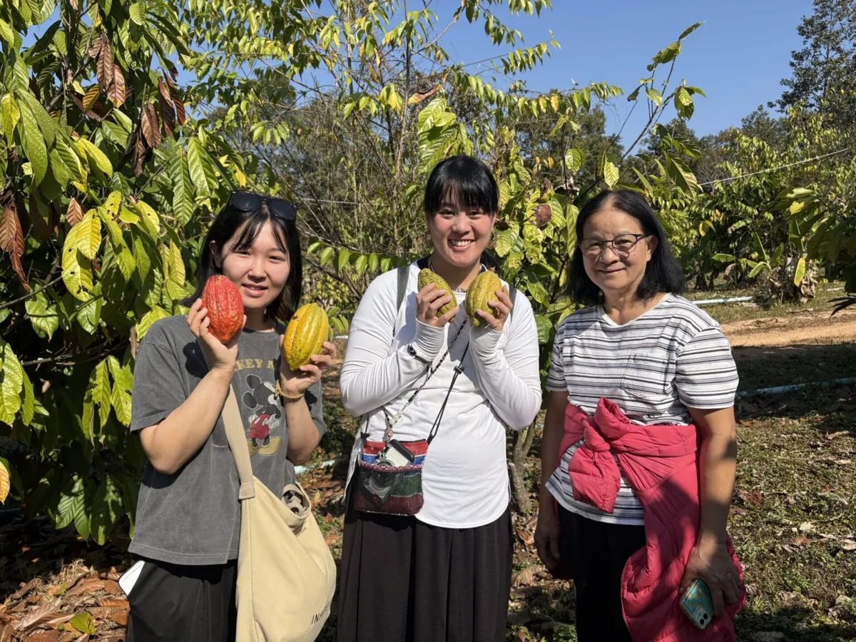 カカオ農園・チョコレート作り＆地元家庭ランチ体験の様子